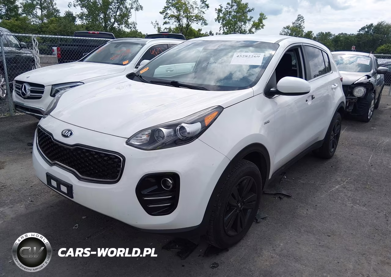 2019 Kia Sportage Lx VIN:KNDPMCAC4K7565794 - 2