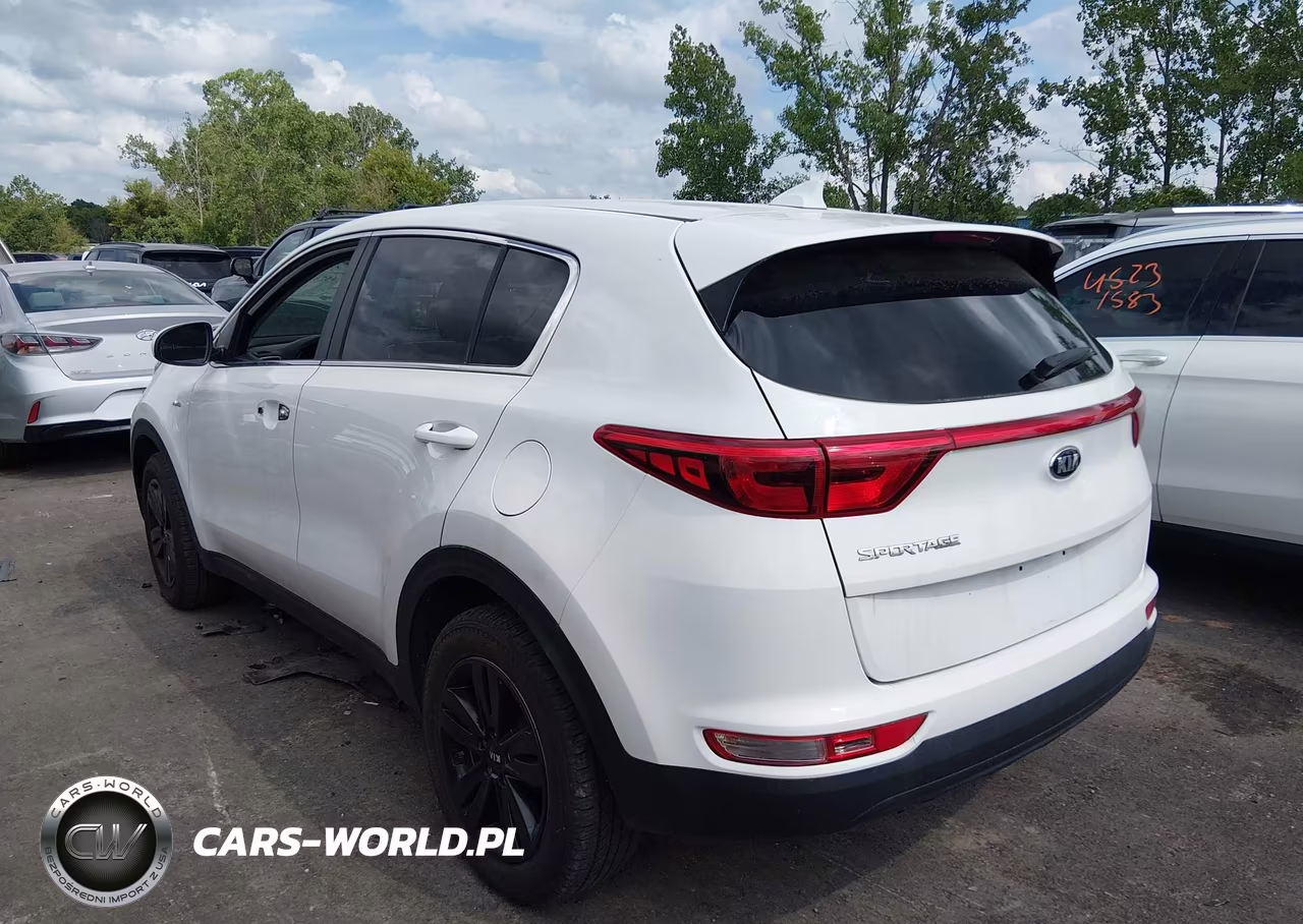 2019 Kia Sportage Lx VIN:KNDPMCAC4K7565794 - 3