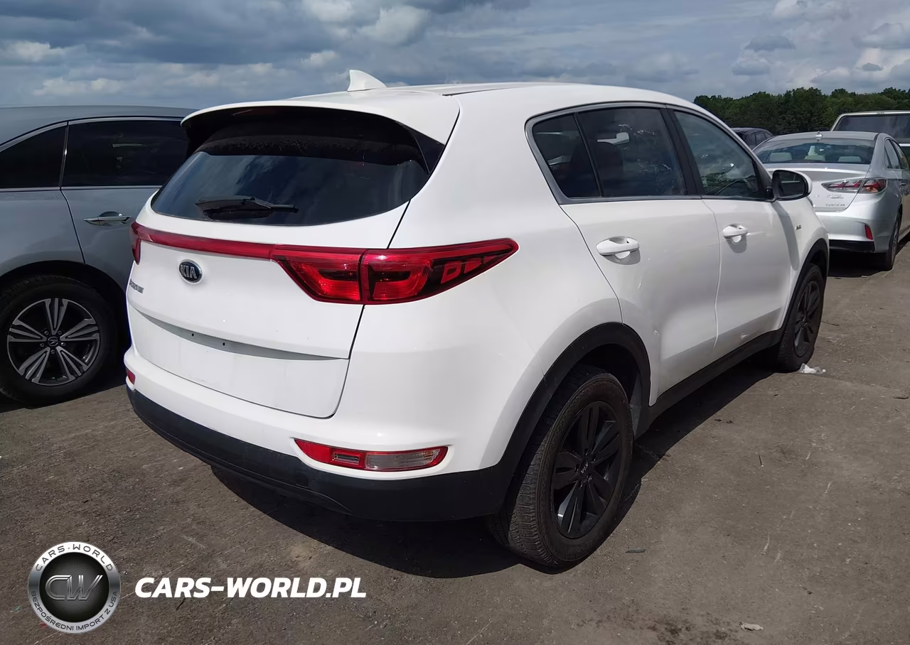 2019 Kia Sportage Lx VIN:KNDPMCAC4K7565794 - 4