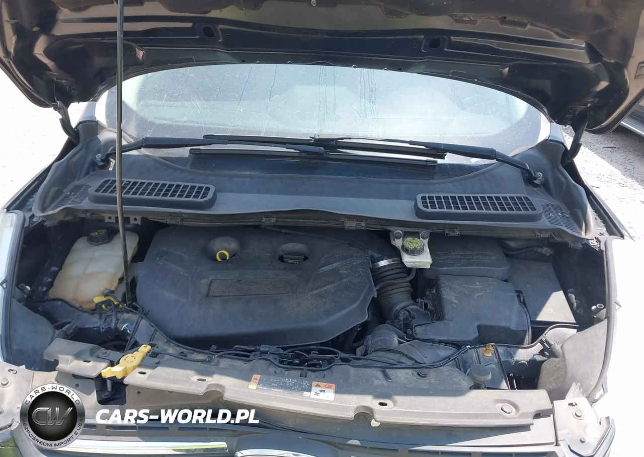 2014 Ford Escape Se VIN:1FMCU0G90EUC56124 - 10