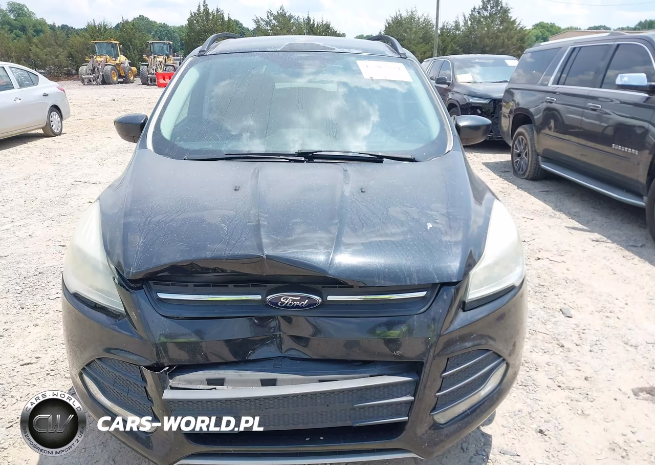 2014 Ford Escape Se VIN:1FMCU0G90EUC56124 - 12