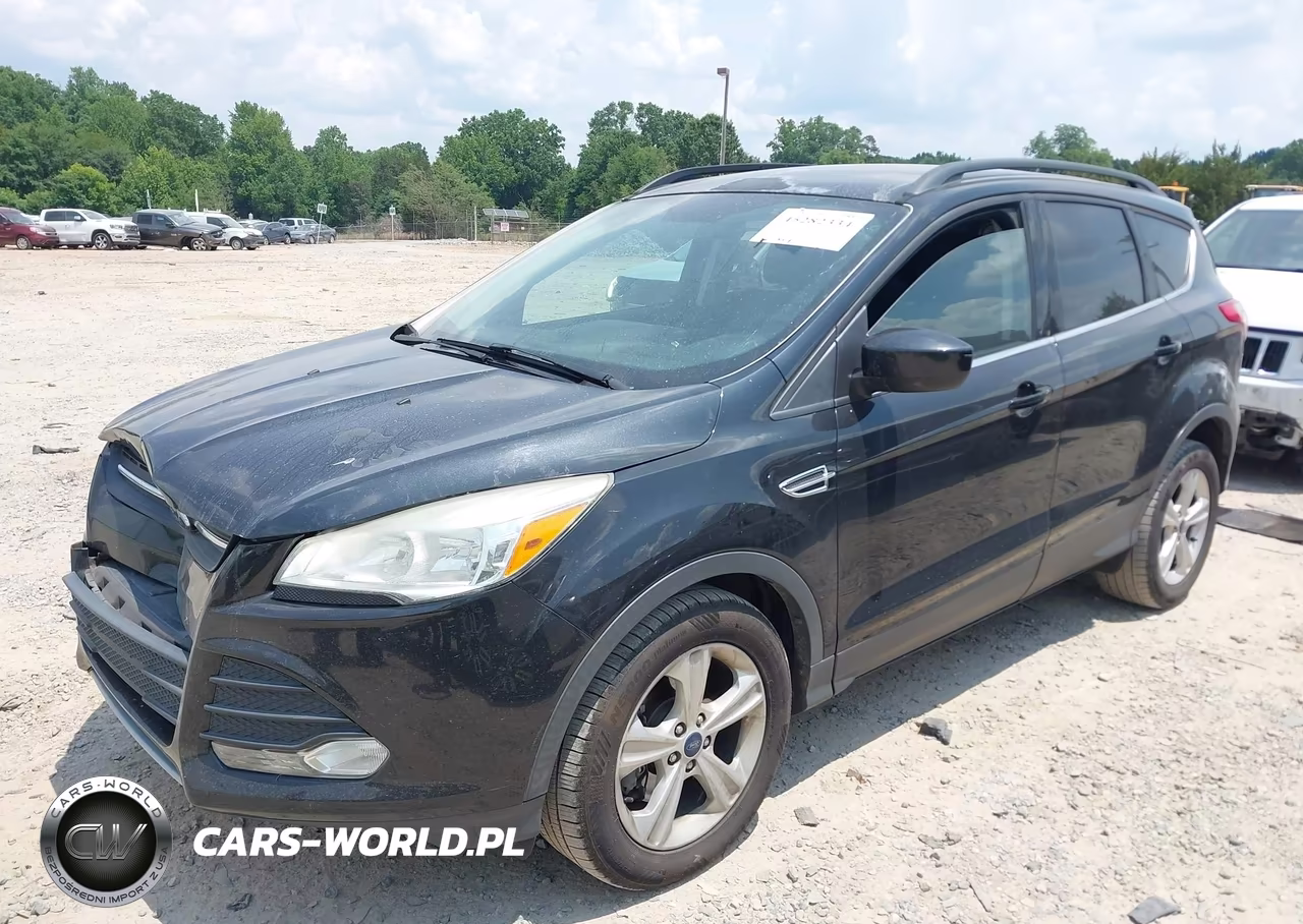 2014 Ford Escape Se VIN:1FMCU0G90EUC56124 - 2