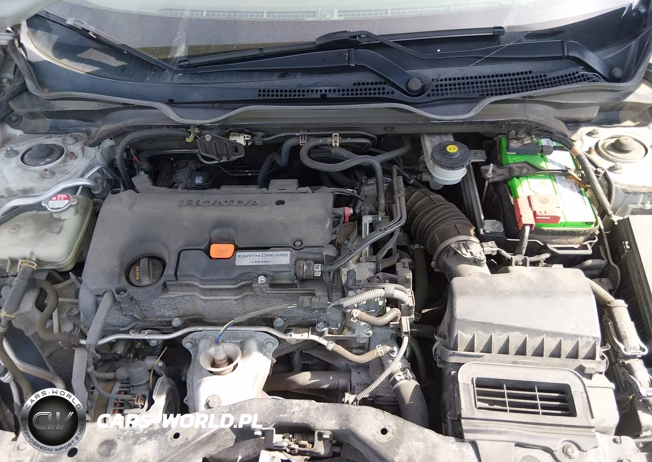2019 Honda Civic Lx VIN:2HGFC2F62KH584507 - 10