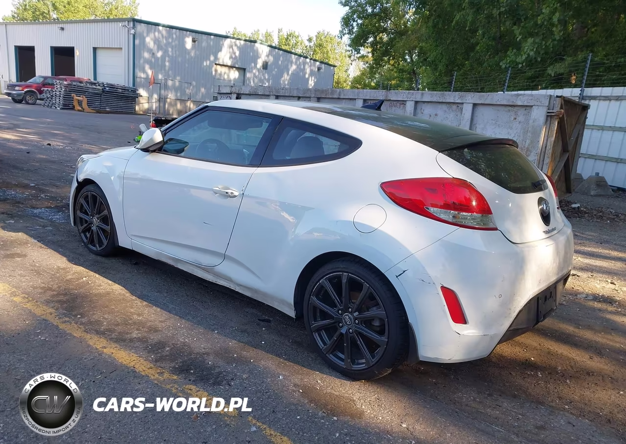 2013 Hyundai Veloster Base W-Gray VIN:KMHTC6AD2DU097592 - 3