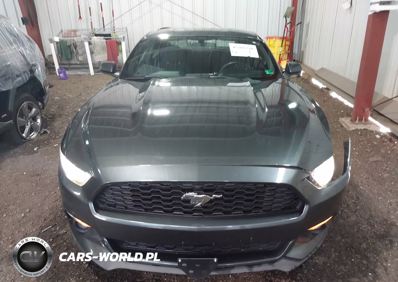 2015 Ford Mustang Ecoboost VIN:1FA6P8TH3F5367448 - 13