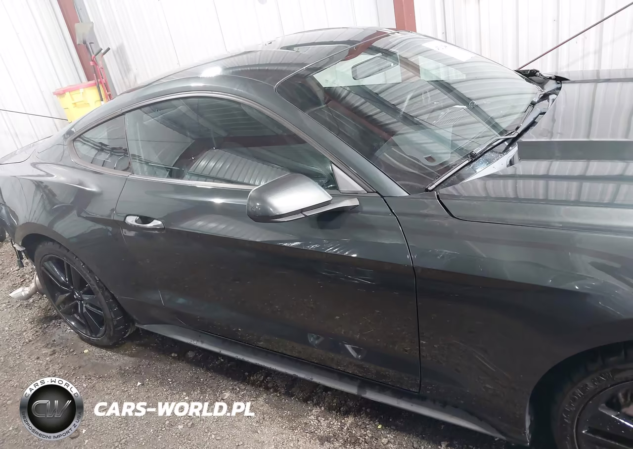2015 Ford Mustang Ecoboost VIN:1FA6P8TH3F5367448 - 14