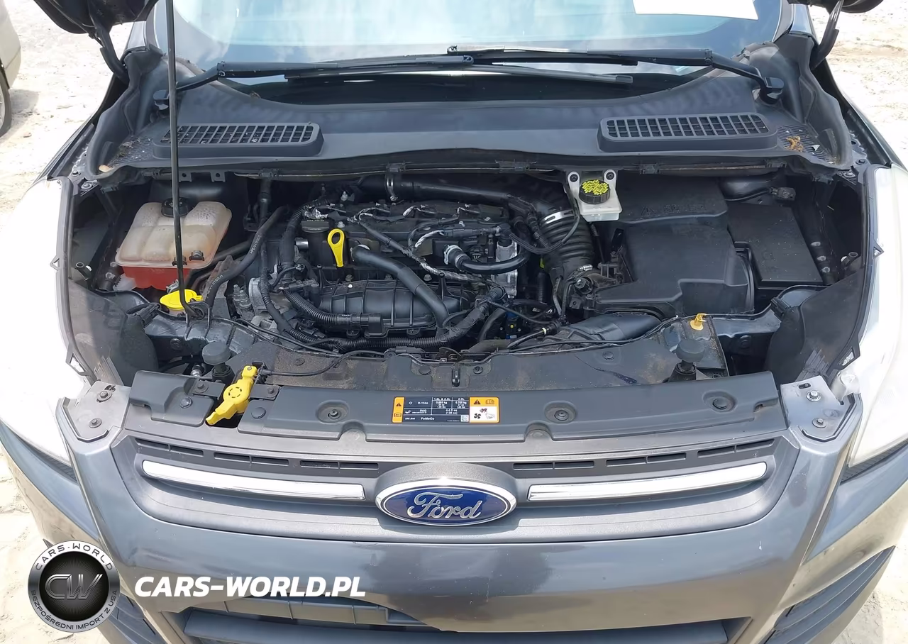 2015 Ford Escape Se VIN:1FMCU0GX0FUC41851 - 10