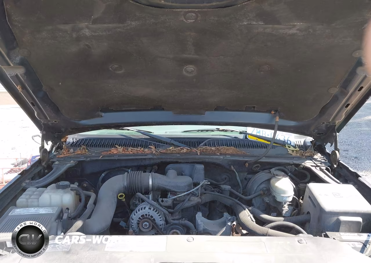 2005 Chevrolet Silverado 1500 Work Truck VIN:1GCEC14XX5Z138755 - 10