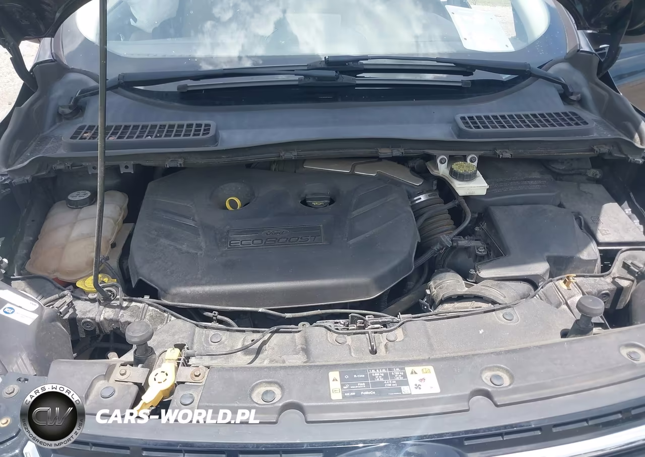 2013 Ford Escape Sel VIN:1FMCU9H98DUA83311 - 10