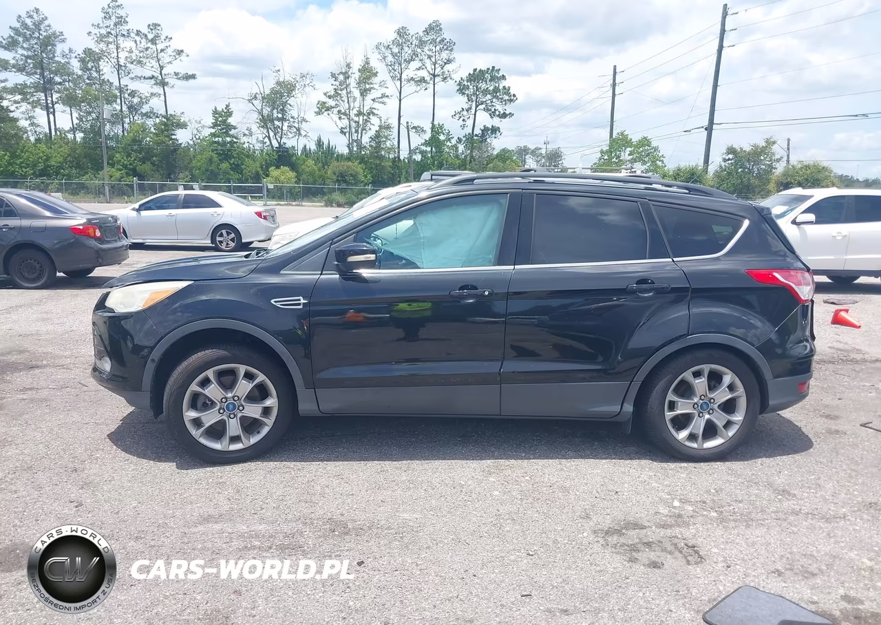 2013 Ford Escape Sel VIN:1FMCU9H98DUA83311 - 13