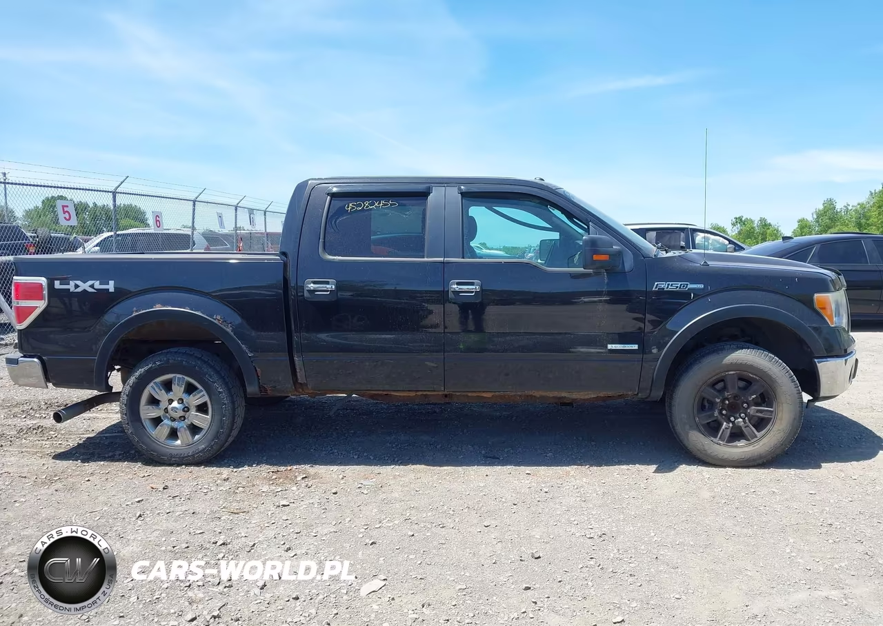 2011 Ford F-150 Xlt VIN:1FTFW1ET9BFA98964 - 12