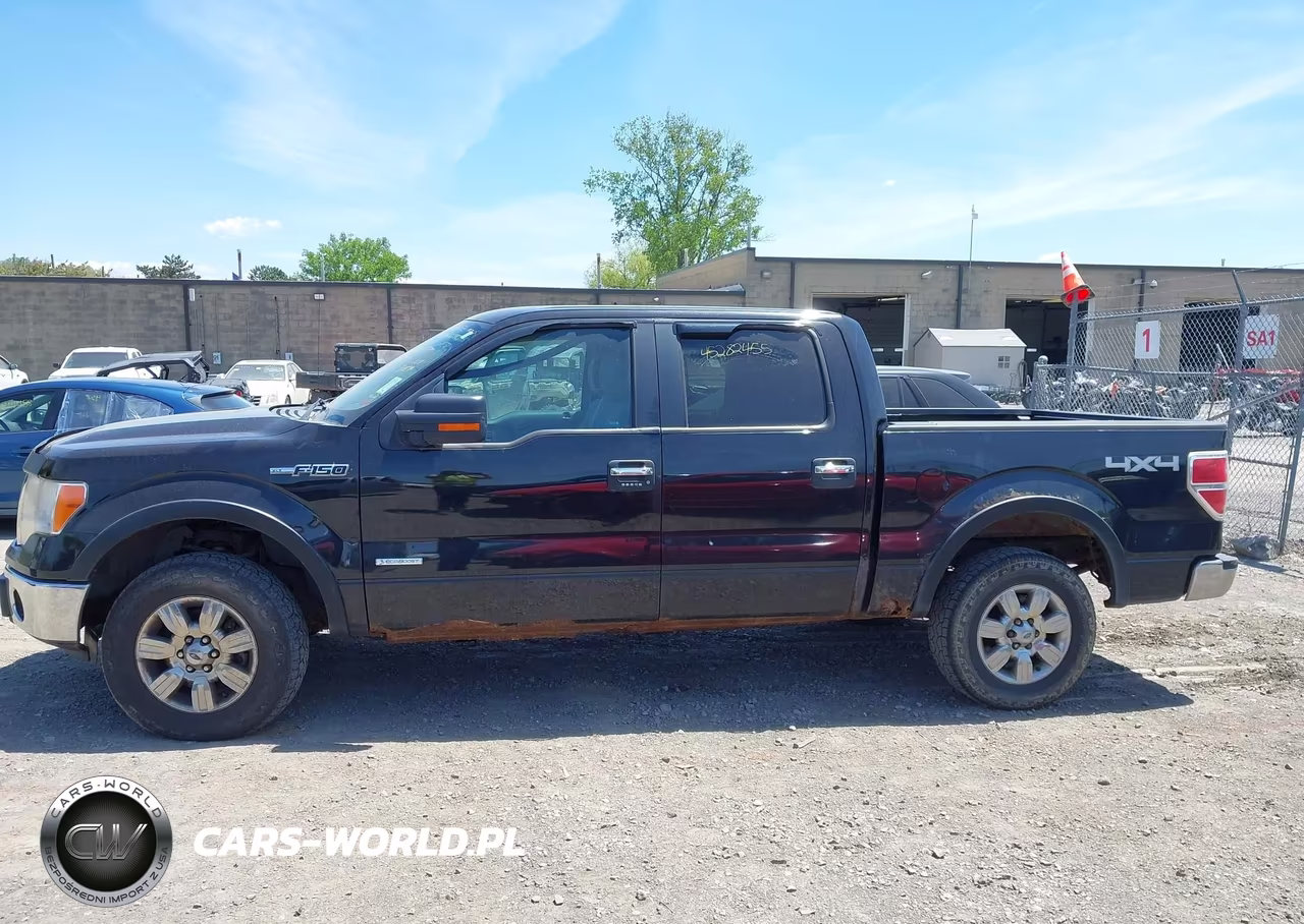 2011 Ford F-150 Xlt VIN:1FTFW1ET9BFA98964 - 13