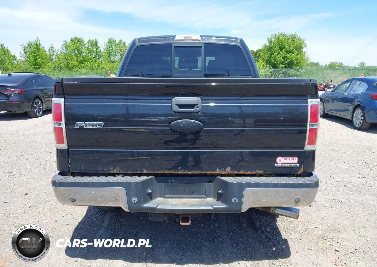 2011 Ford F-150 Xlt VIN:1FTFW1ET9BFA98964 - 15