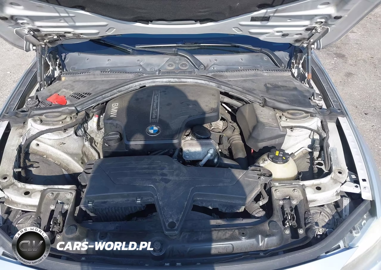 2014 BMW 320I VIN:WBA3B1G53ENT00539 - 10