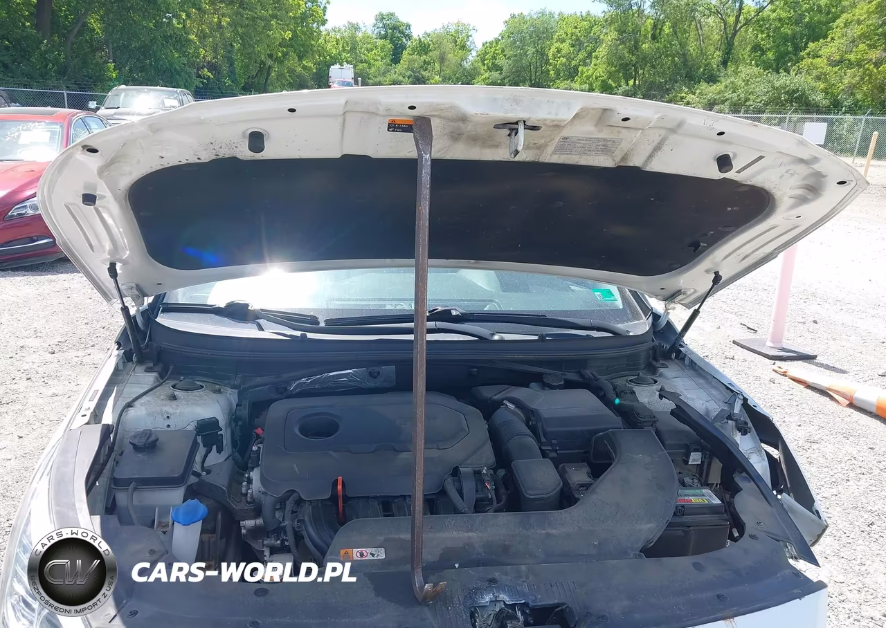 2015 Hyundai Sonata Se VIN:5NPE24AF3FH258700 - 10