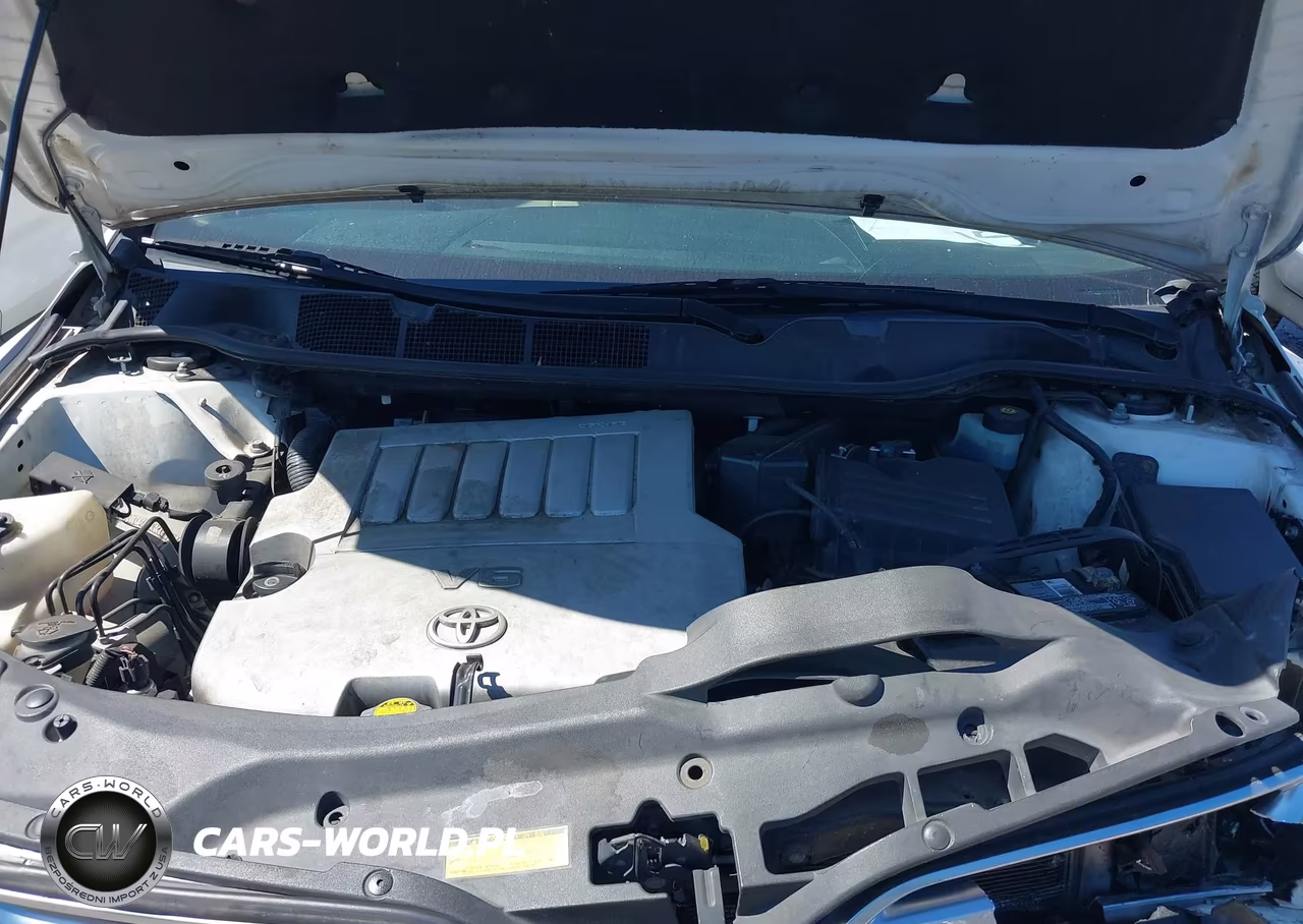 2009 Toyota Venza Base V6 VIN:4T3BK11A99U011507 - 10