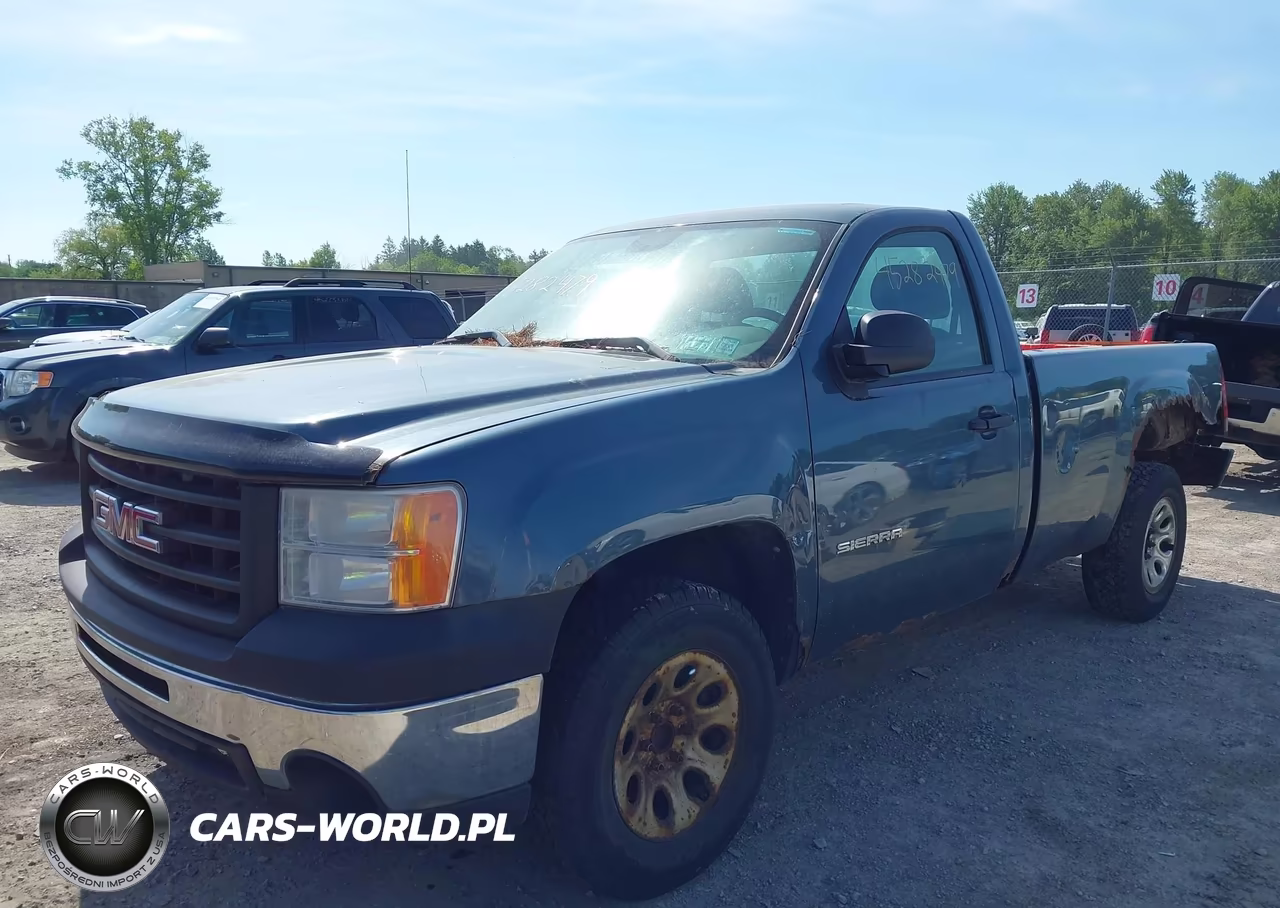 2010 GMC Sierra 1500 Work Truck VIN:1GTPCTEX2AZ233906 - 2