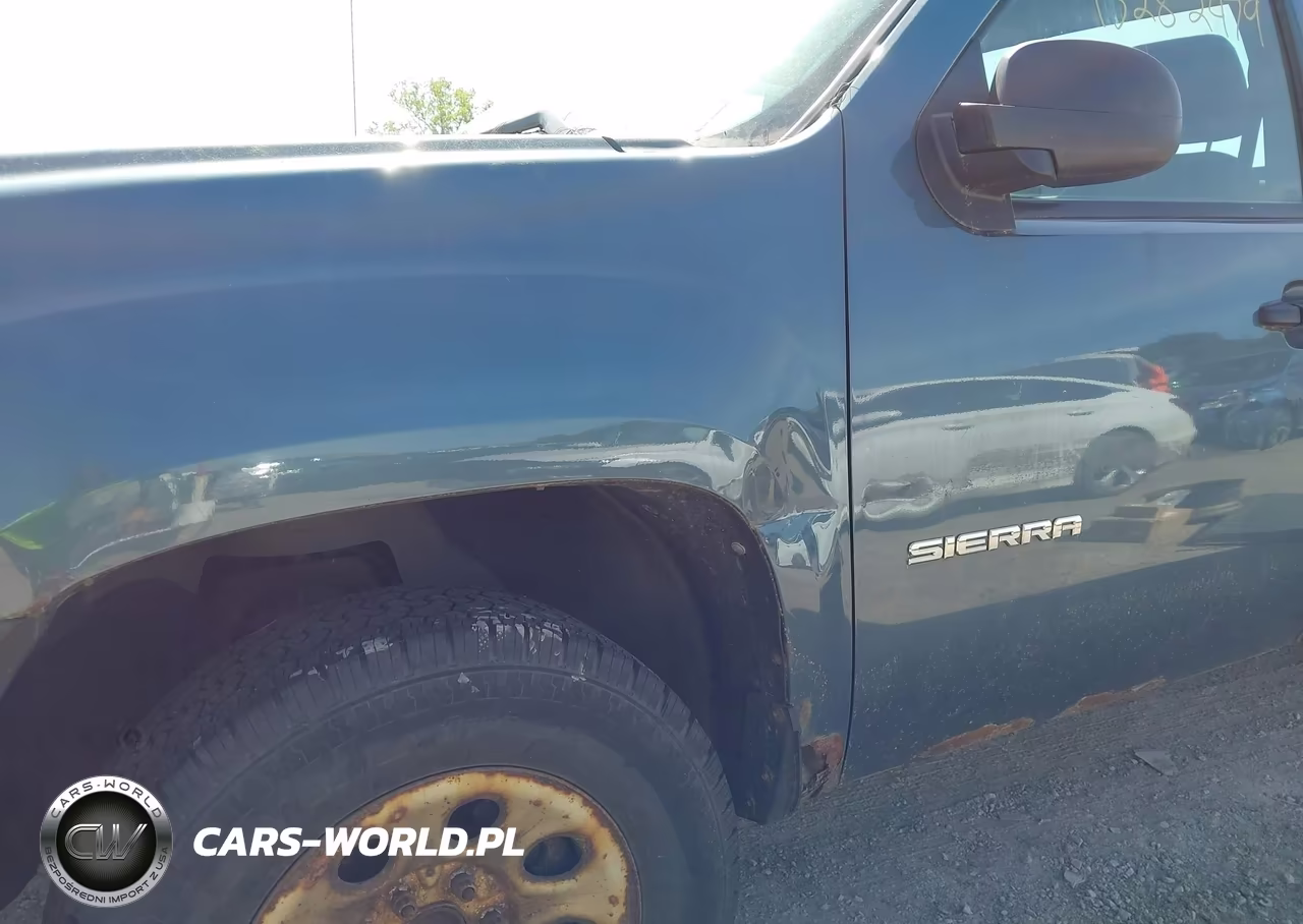 2010 GMC Sierra 1500 Work Truck VIN:1GTPCTEX2AZ233906 - 6
