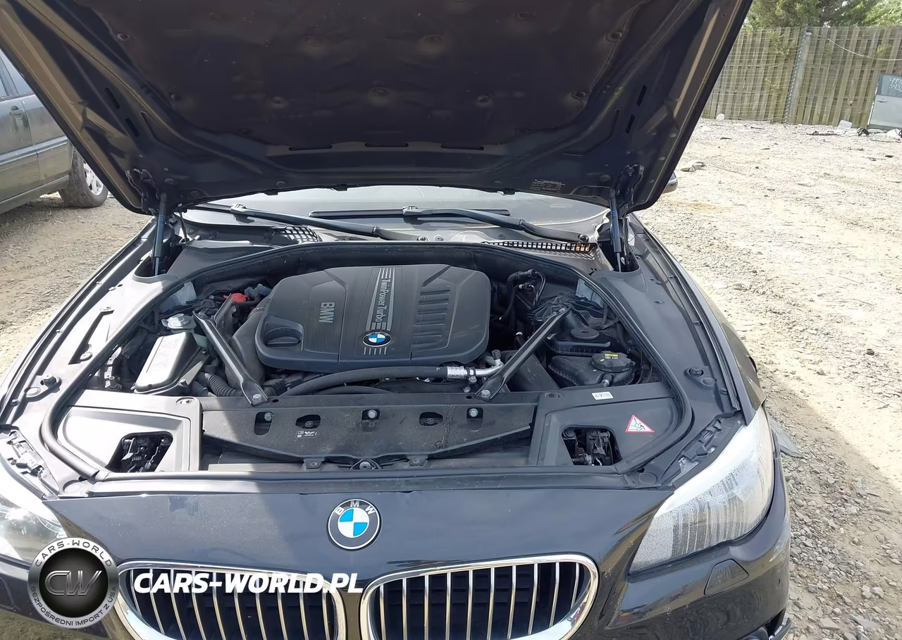 2016 BMW 535D xDrive VIN:WBAFV3C55GD687450 - 10