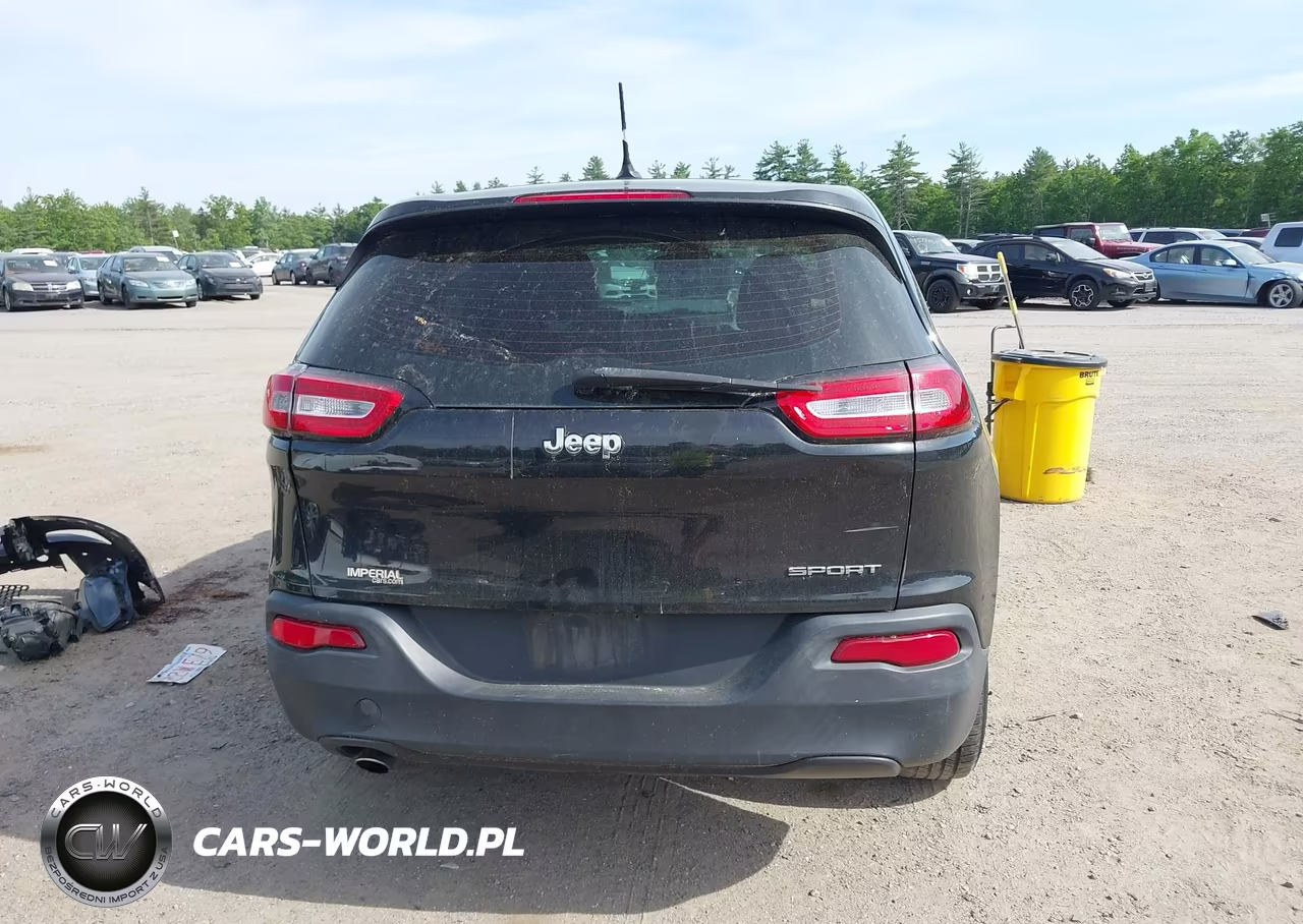 2014 Jeep Cherokee Sport VIN:1C4PJLAB0EW163541 - 17