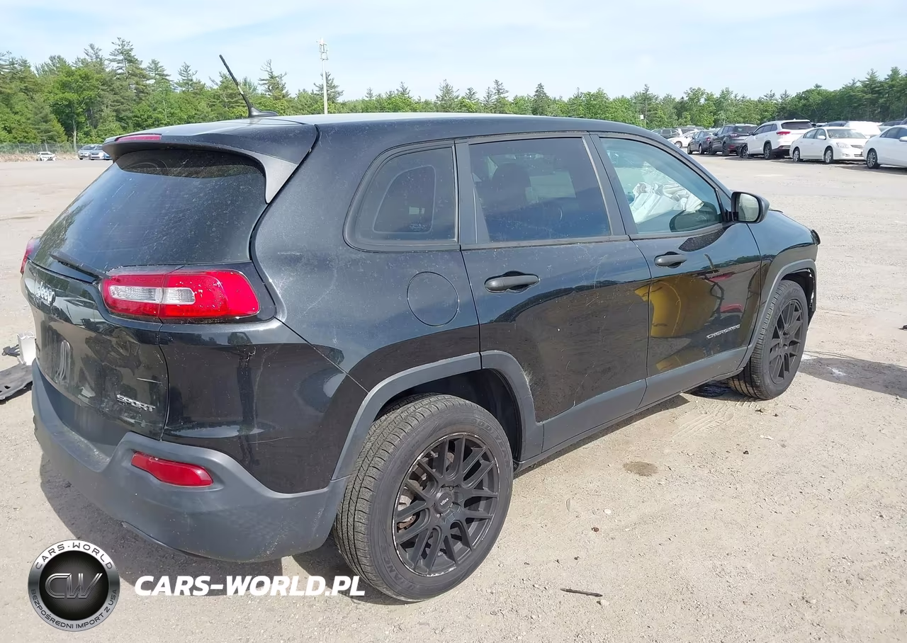 2014 Jeep Cherokee Sport VIN:1C4PJLAB0EW163541 - 4