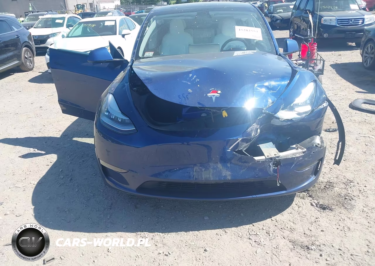 2022 Tesla Model Y Long Range Dual Motor All-Wheel Drive VIN:7SAYGAEE4NF314416 - 12