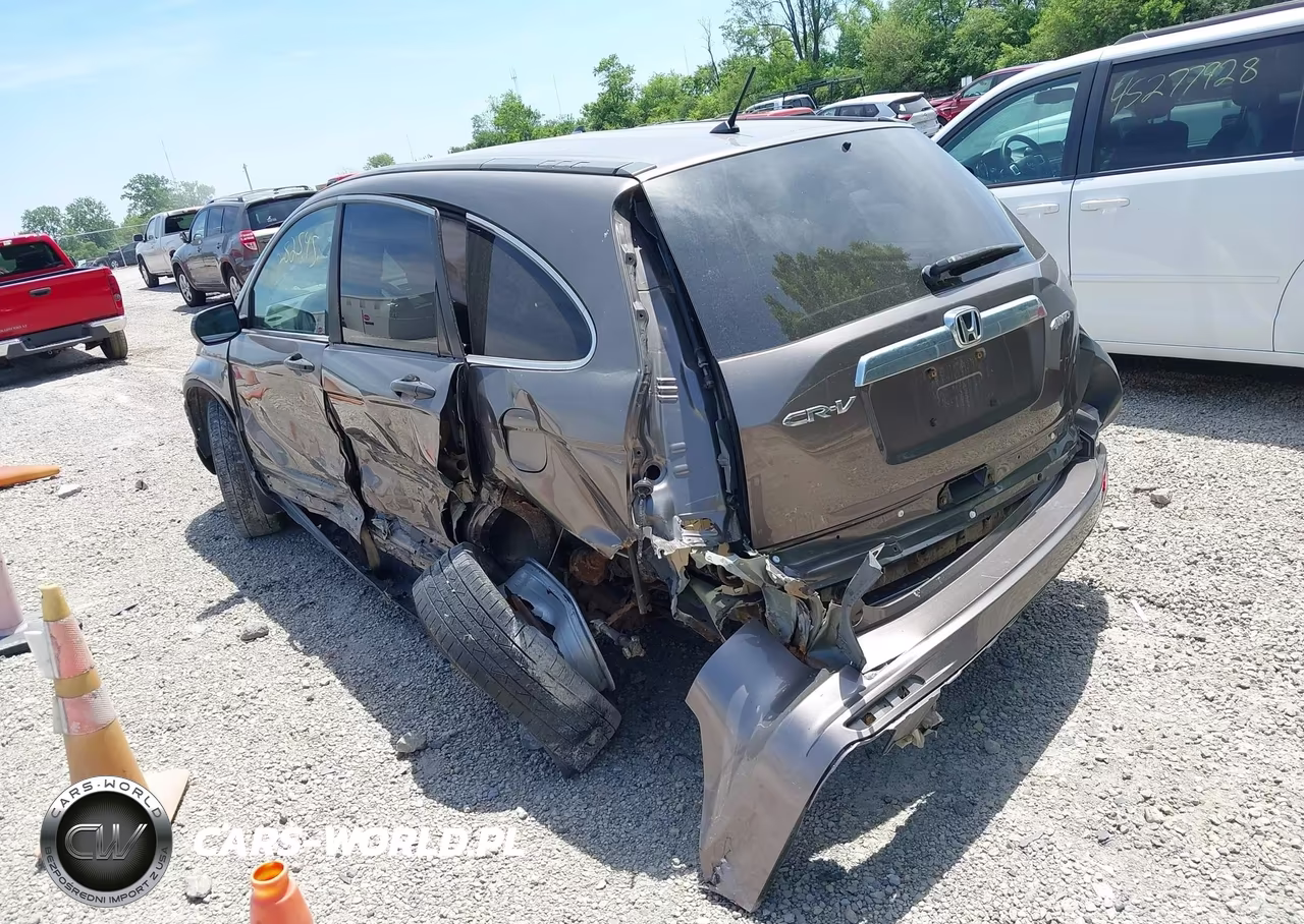 2010 Honda Cr-V Ex VIN:3CZRE4H53AG704166 - 3