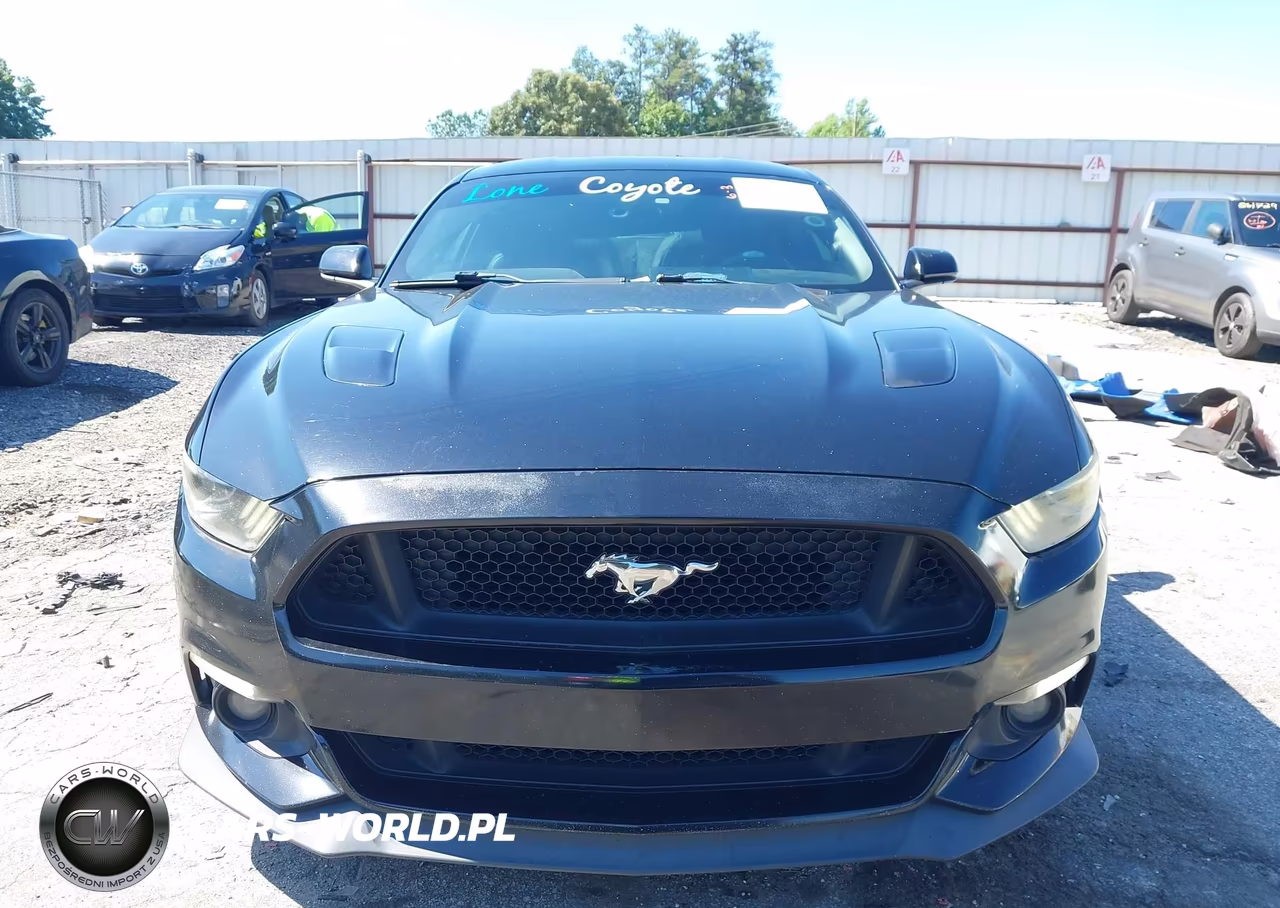 2017 Ford Mustang Gt VIN:1FA6P8CF9H5219693 - 12