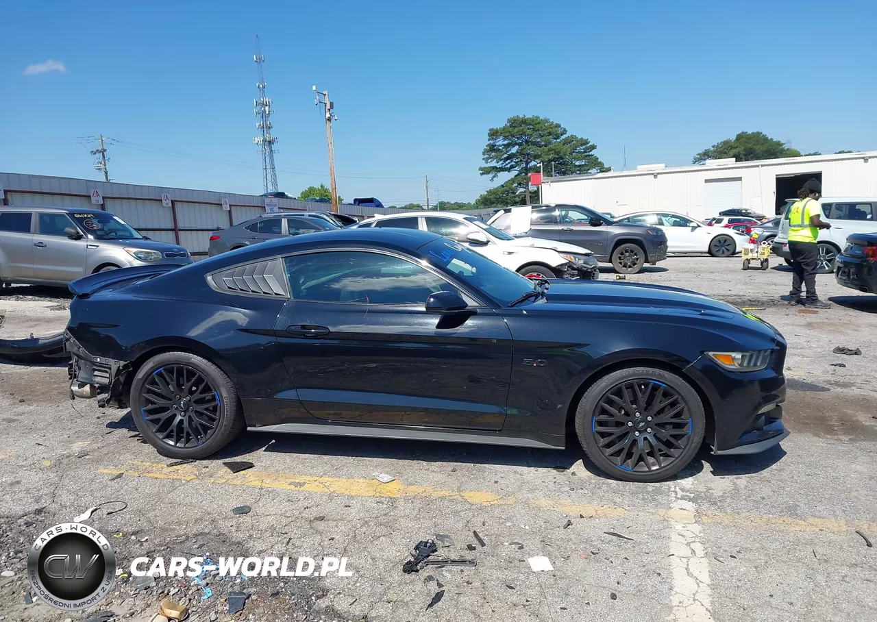 2017 Ford Mustang Gt VIN:1FA6P8CF9H5219693 - 13