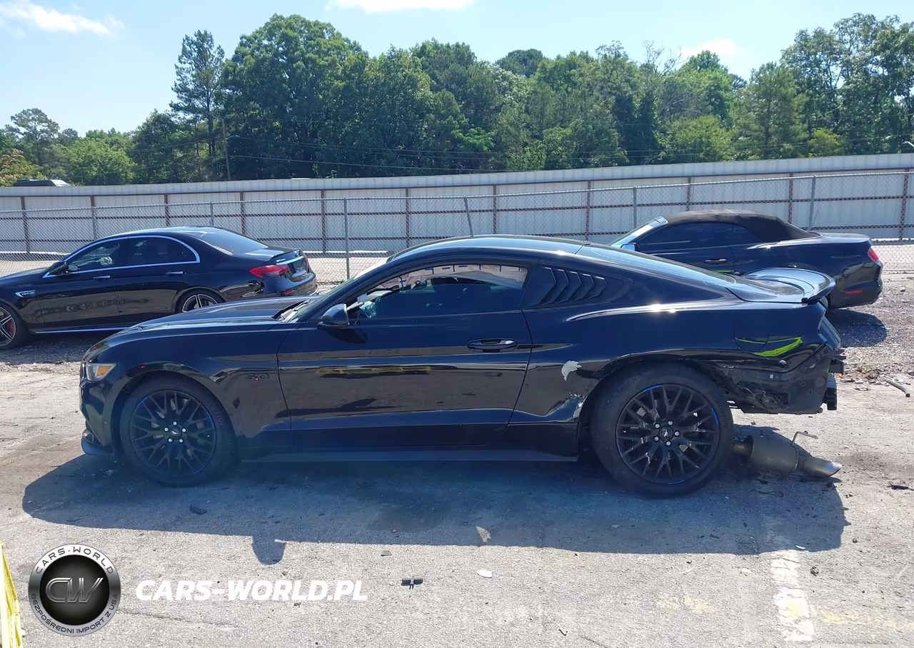 2017 Ford Mustang Gt VIN:1FA6P8CF9H5219693 - 14