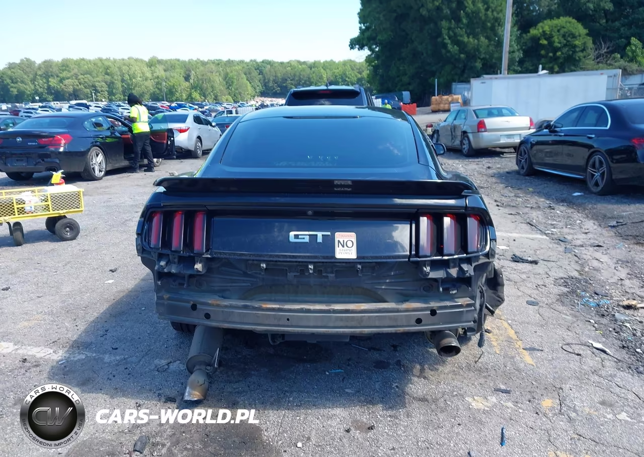 2017 Ford Mustang Gt VIN:1FA6P8CF9H5219693 - 16