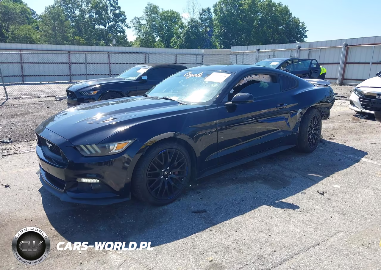 2017 Ford Mustang Gt VIN:1FA6P8CF9H5219693 - 2