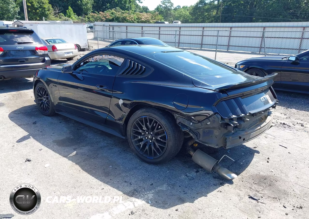 2017 Ford Mustang Gt VIN:1FA6P8CF9H5219693 - 3