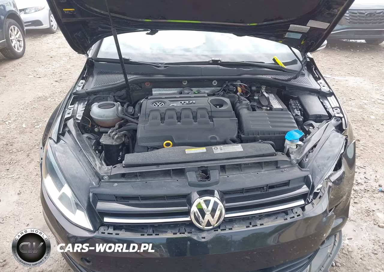 2015 Volkswagen Golf Sportwagen Tdi S 4-Door VIN:3VWCA7AU6FM509985 - 10