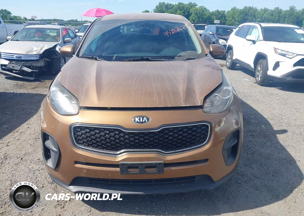 2019 Kia Sportage Lx VIN:KNDPM3AC1K7500059 - 12