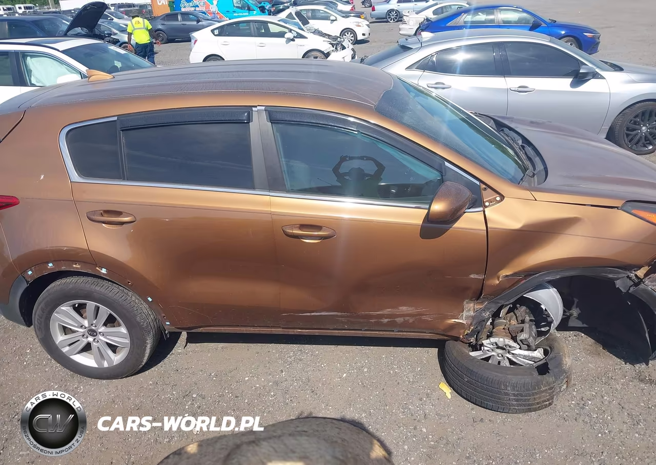 2019 Kia Sportage Lx VIN:KNDPM3AC1K7500059 - 13
