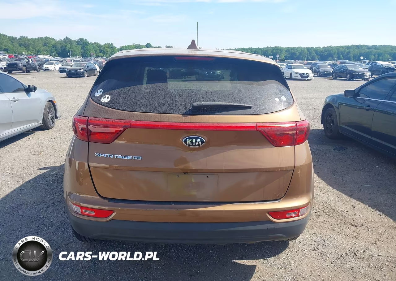 2019 Kia Sportage Lx VIN:KNDPM3AC1K7500059 - 16