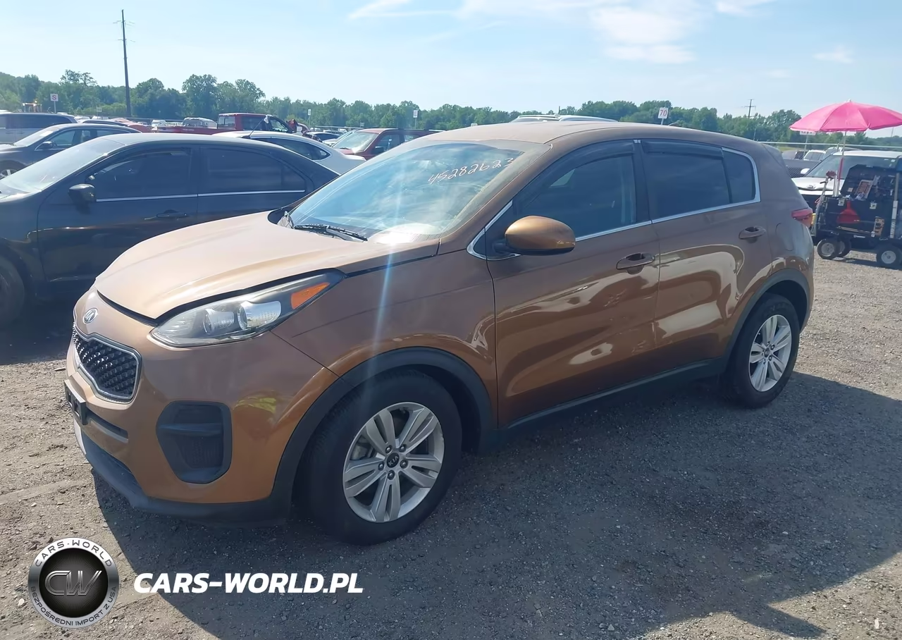 2019 Kia Sportage Lx VIN:KNDPM3AC1K7500059 - 2
