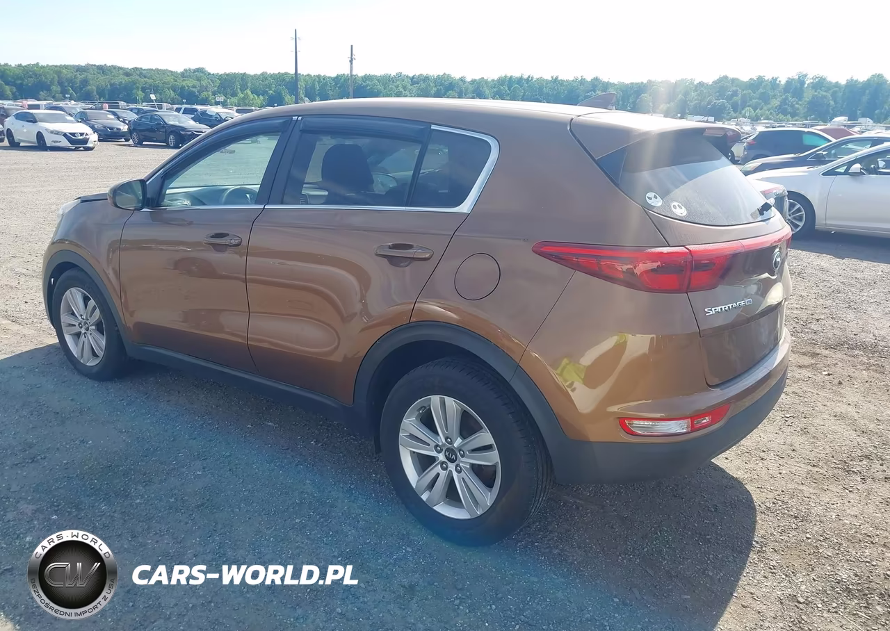 2019 Kia Sportage Lx VIN:KNDPM3AC1K7500059 - 3