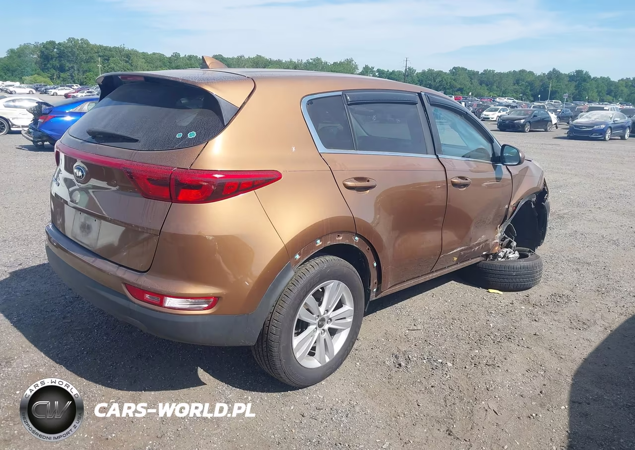 2019 Kia Sportage Lx VIN:KNDPM3AC1K7500059 - 4