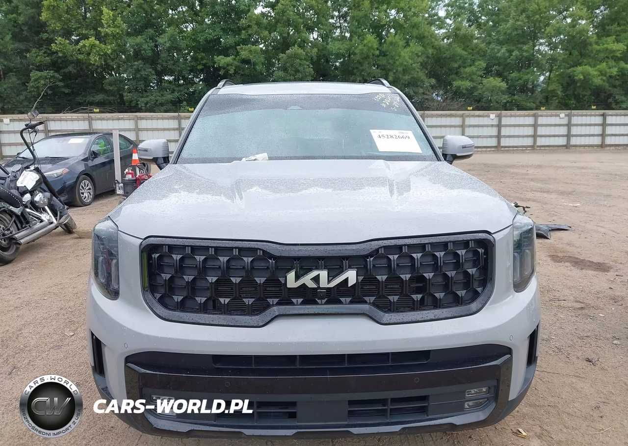 2024 Kia Telluride Sx X-Pro VIN:5XYP5DGC8RG467634 - 13