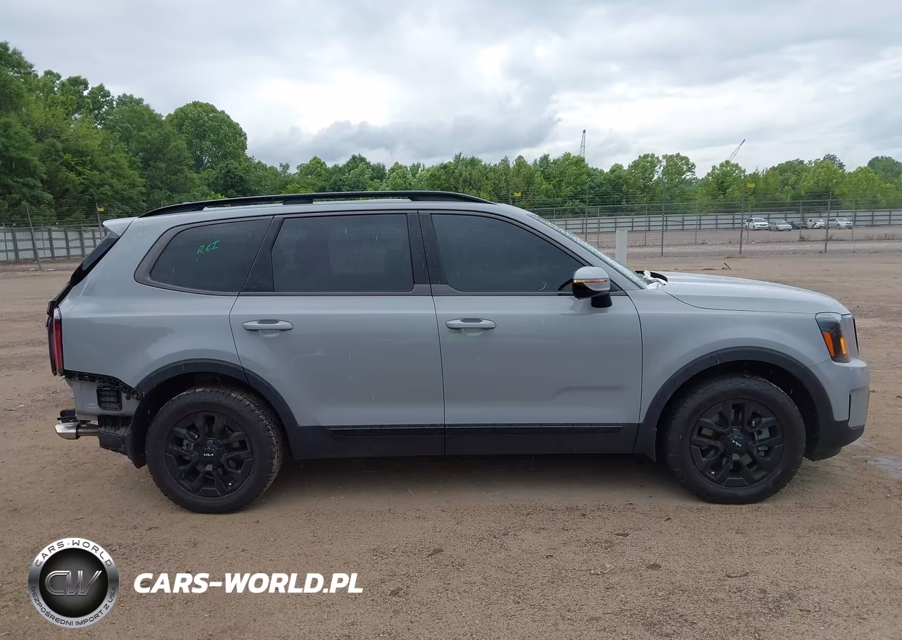 2024 Kia Telluride Sx X-Pro VIN:5XYP5DGC8RG467634 - 14
