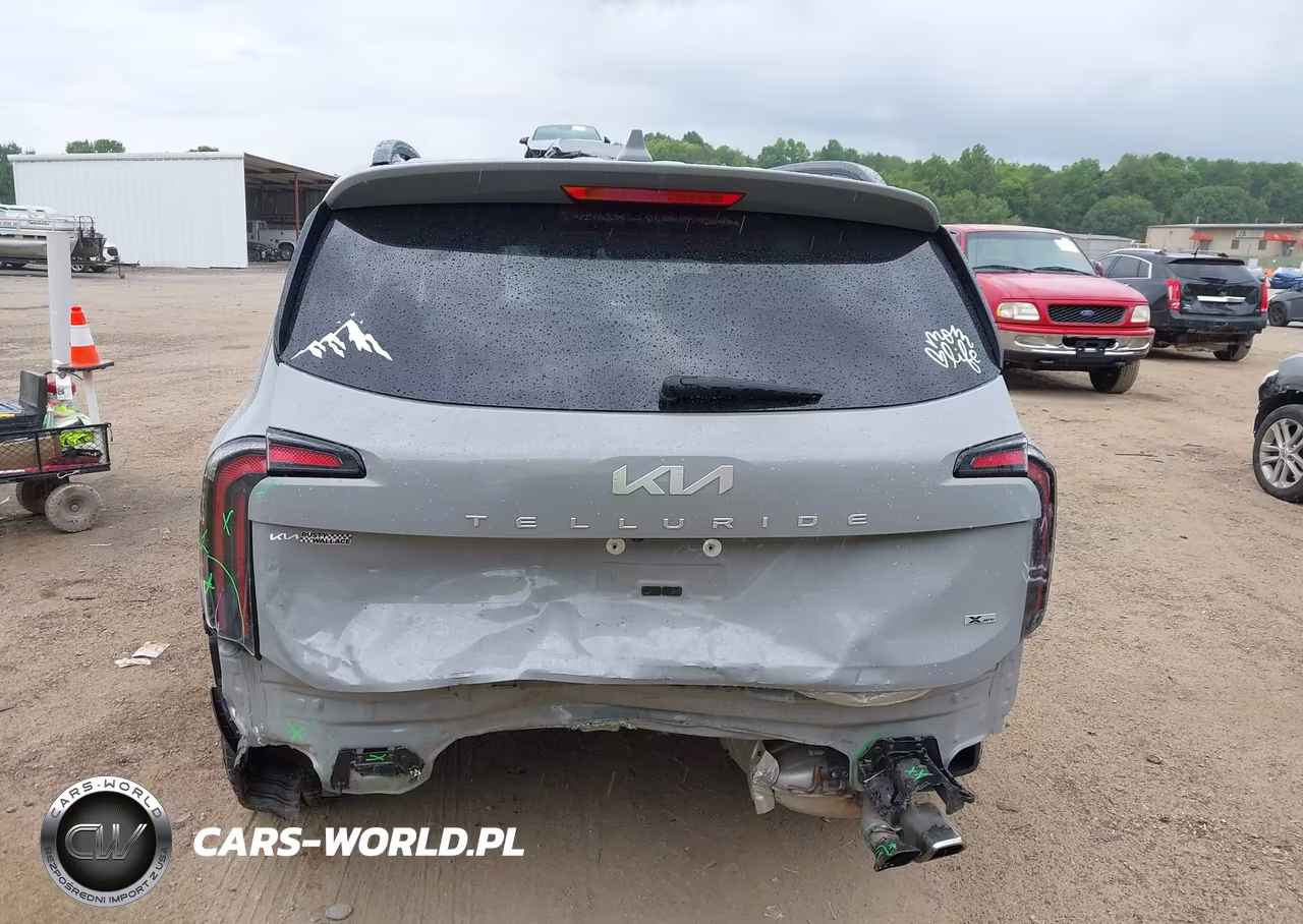 2024 Kia Telluride Sx X-Pro VIN:5XYP5DGC8RG467634 - 17