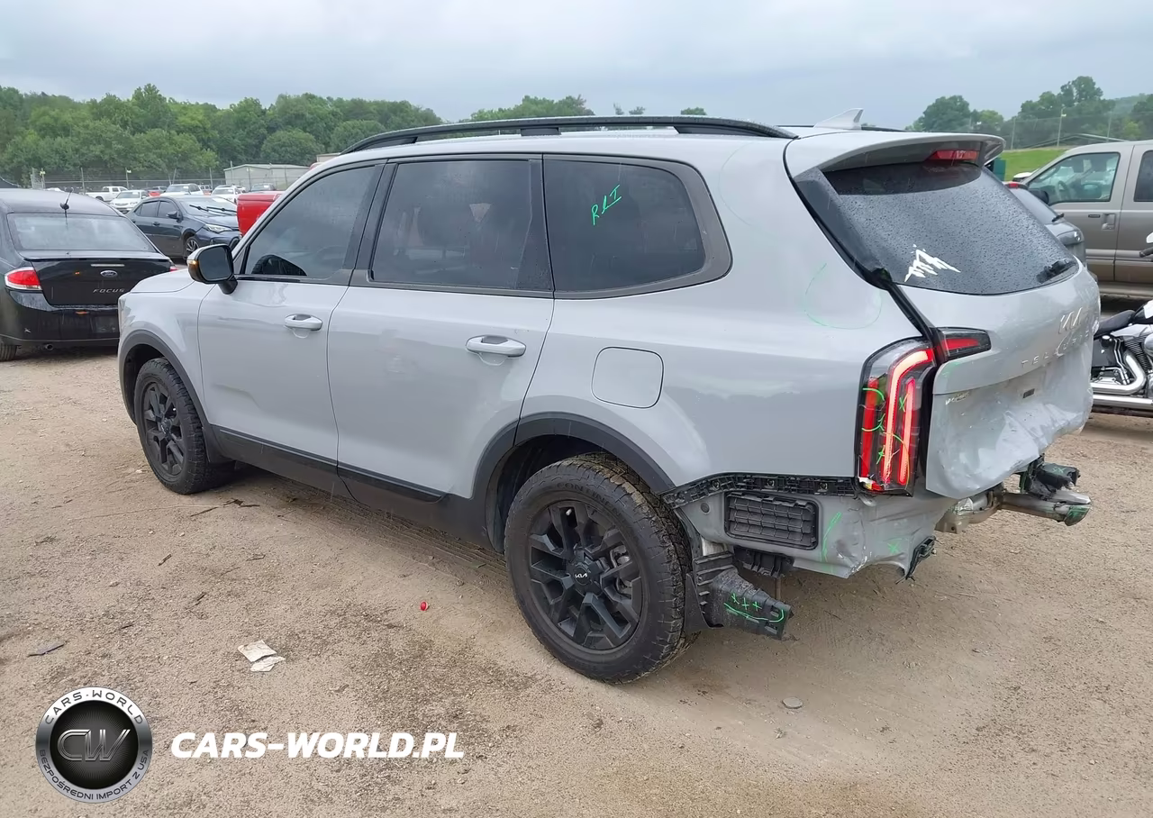 2024 Kia Telluride Sx X-Pro VIN:5XYP5DGC8RG467634 - 3