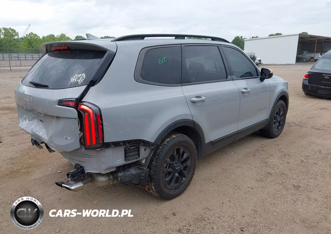 2024 Kia Telluride Sx X-Pro VIN:5XYP5DGC8RG467634 - 4