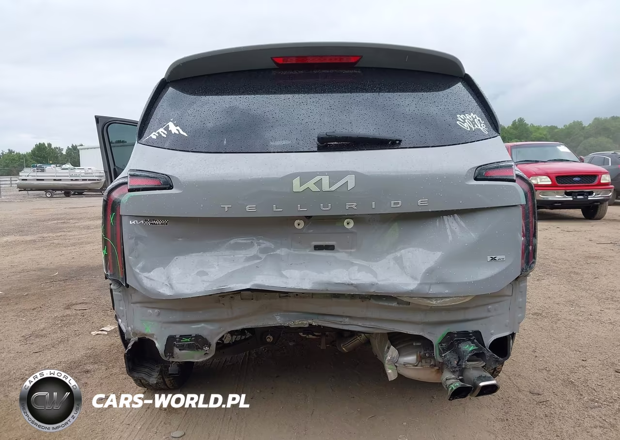 2024 Kia Telluride Sx X-Pro VIN:5XYP5DGC8RG467634 - 6