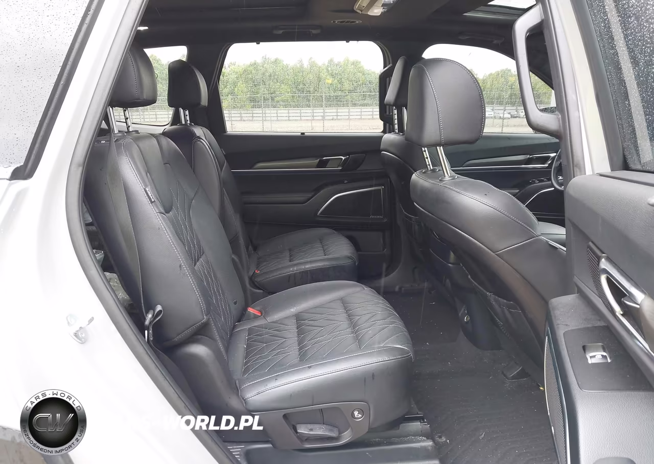 2024 Kia Telluride Sx X-Pro VIN:5XYP5DGC8RG467634 - 8