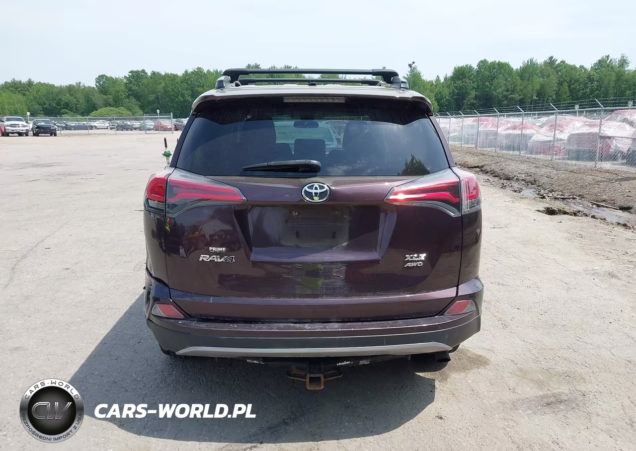 2017 Toyota Rav4 Xle VIN:2T3RFREV6HW670304 - 16