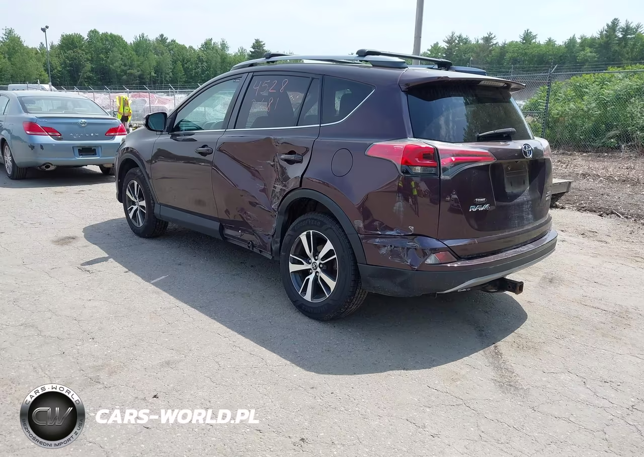 2017 Toyota Rav4 Xle VIN:2T3RFREV6HW670304 - 3