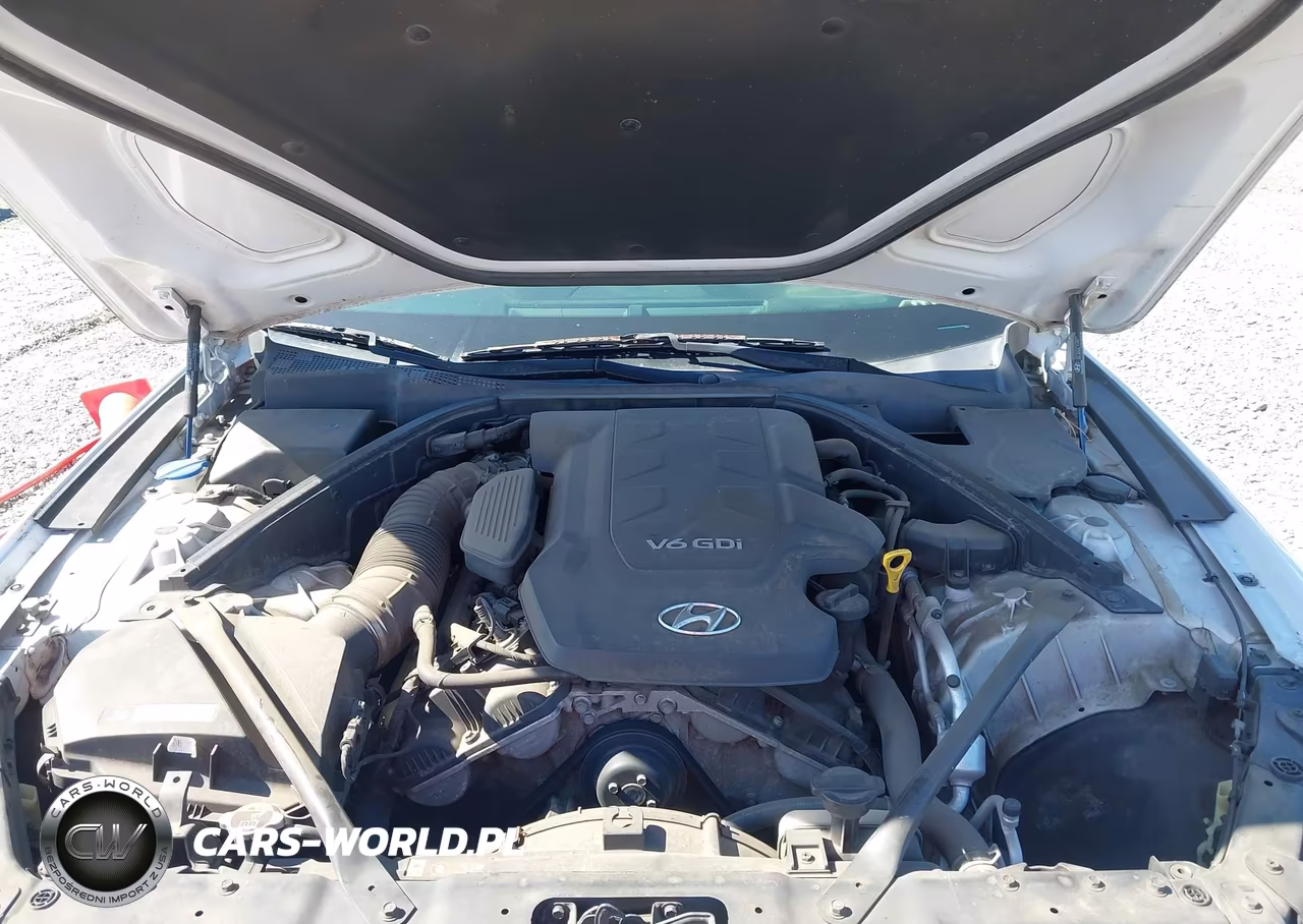 2016 Hyundai Genesis 3.8 VIN:KMHGN4JE1GU107316 - 10
